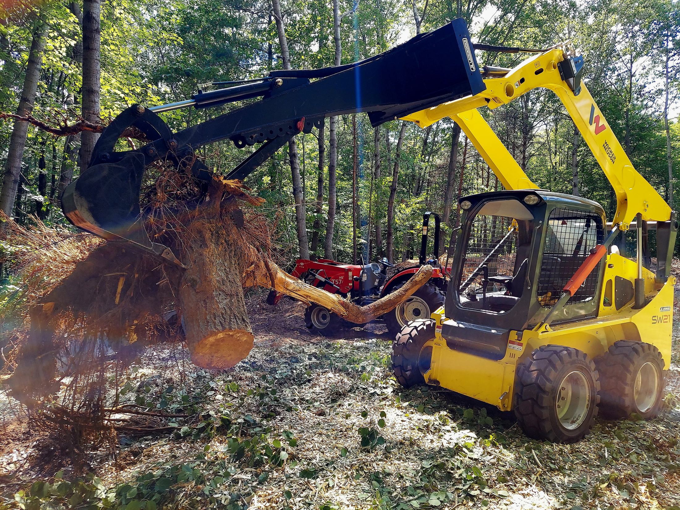 Jenkins HD Backhoe ripping out a stump on a Wacker Neuson skid steer