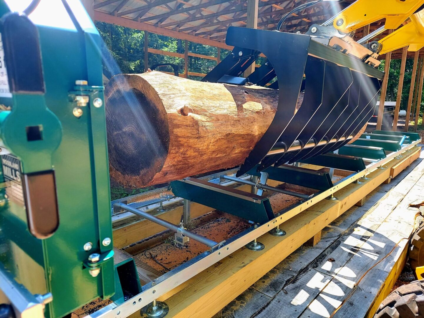 A log being cut on the conveyor belt.