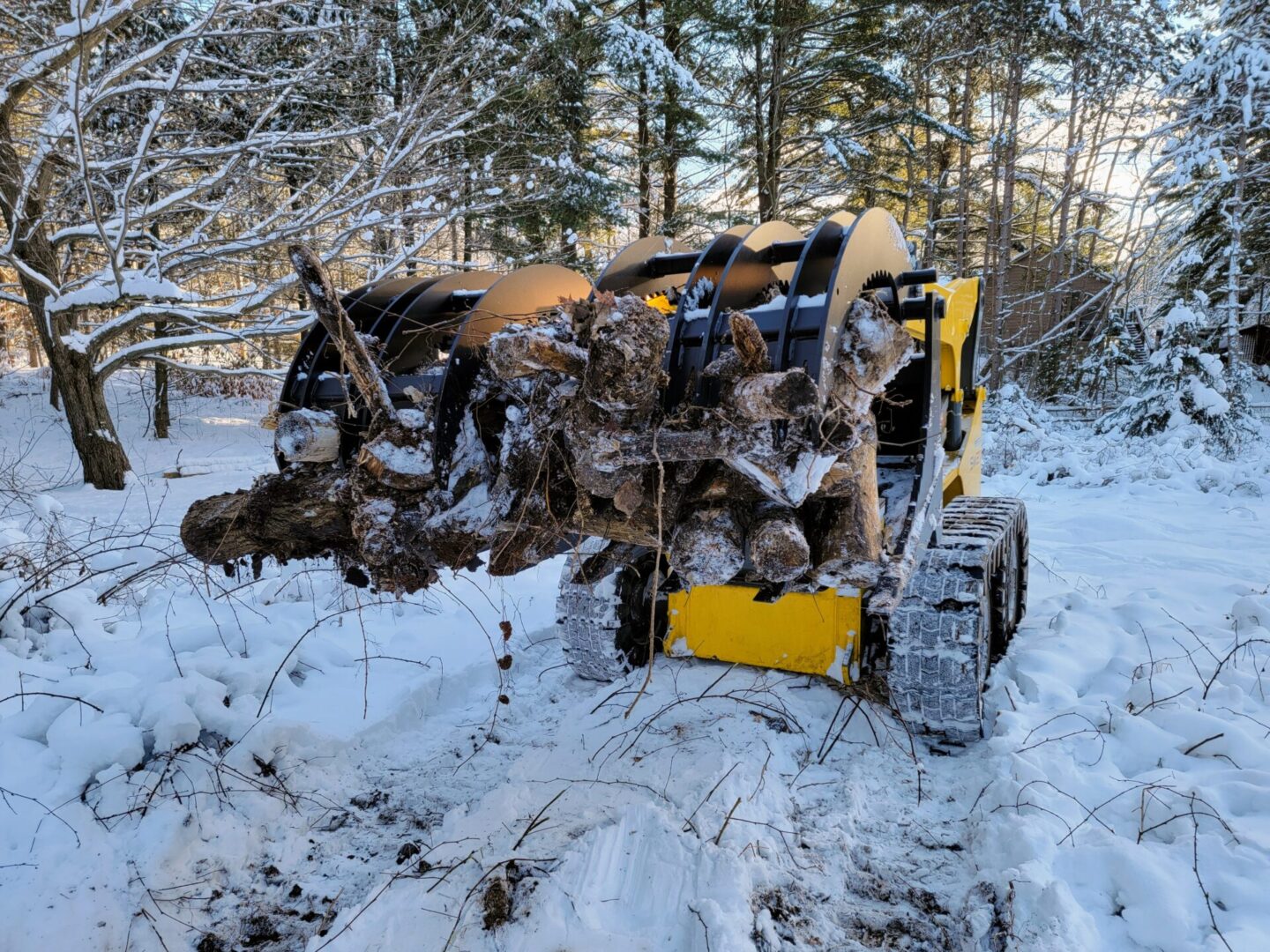 A yellow and black skid steer with logs in the back.