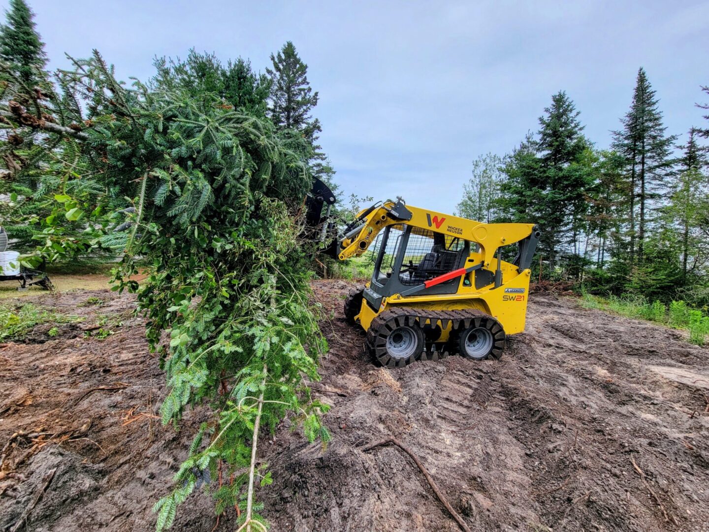 A yellow and black tractor is in the dirt