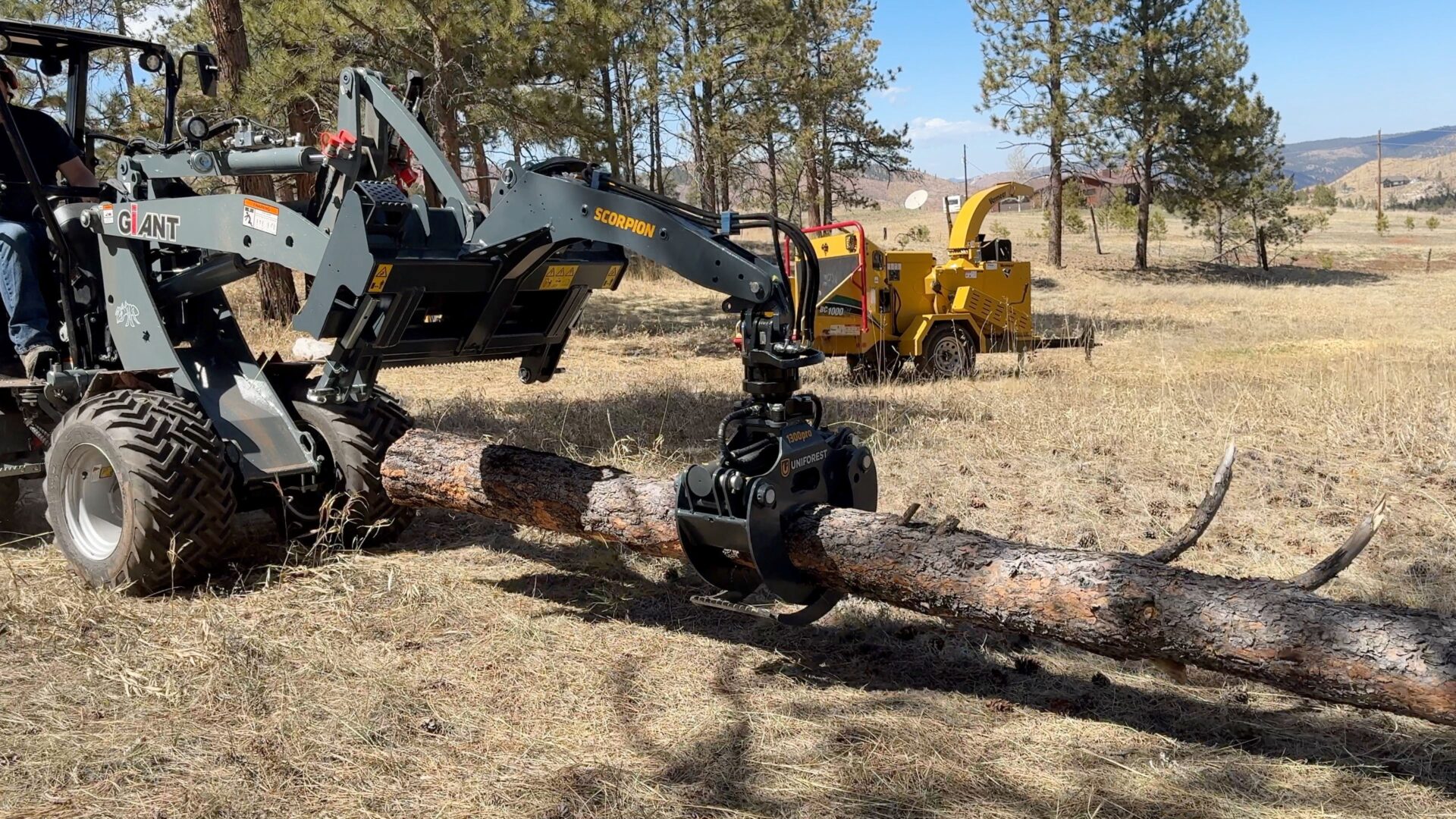 A log being cut by a tree cutter.